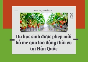du-hoc-sinh-han-quoc-duoc-phep-moi-bo-me-sang-lao-dong-thoi-vu
