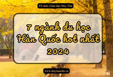 7-nganh-du-hoc-han-quoc-hot-nhat-2024-